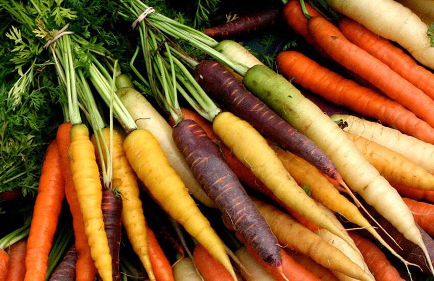 La carotte, un légume de saison rempli de bienfaits
