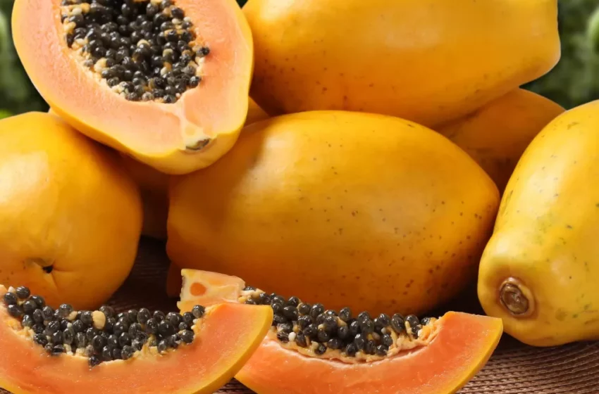  La papaye, un excellent fruit pour favoriser sa digestion le soir