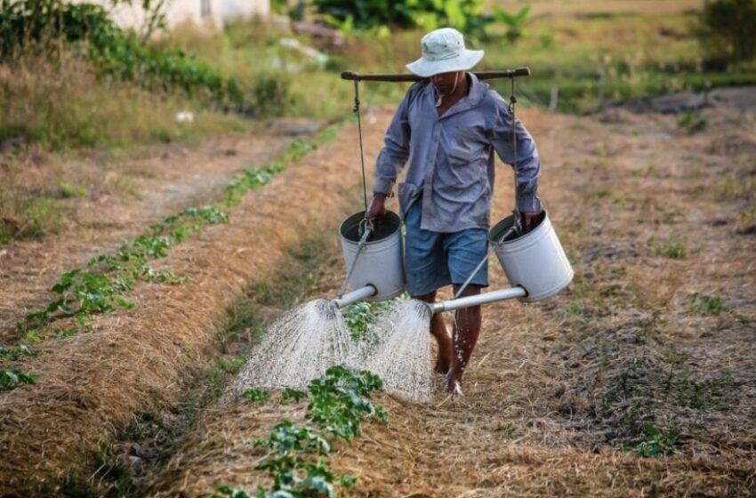 Devenir agriculteur