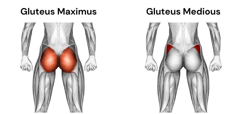 Èske w te konnen se bounda w ki gen plis fòs nan tout « muscle » ki nan kò w ?