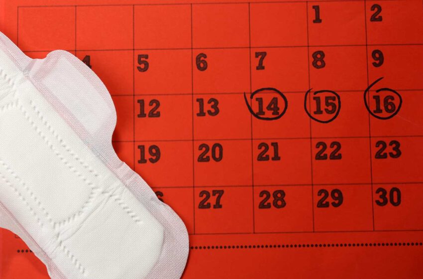  Les implications de l’arrêt menstruel : comprendre les risques pour la santé