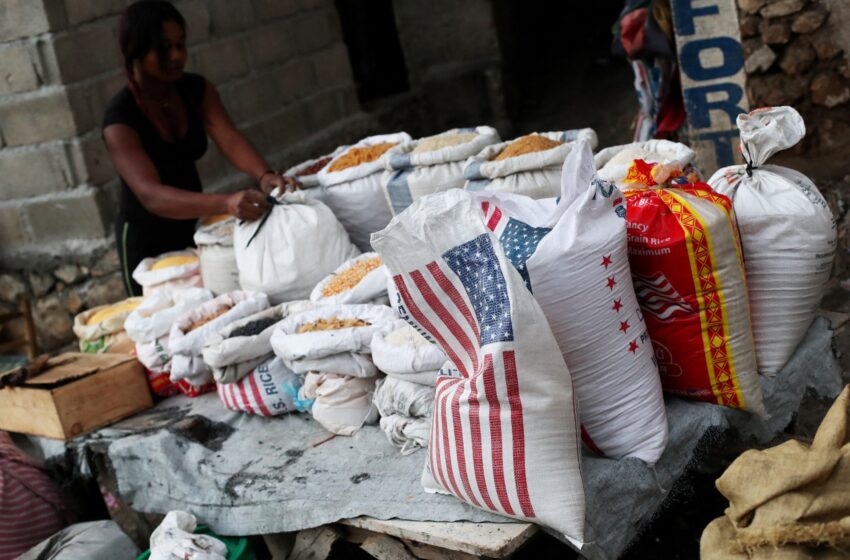  L’exportation de riz américain en Haïti : USARice défend la qualité et la sécurité alimentaire