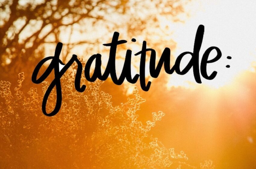  Cultiver la gratitude : une clé pour le bien-être mental et émotionnel