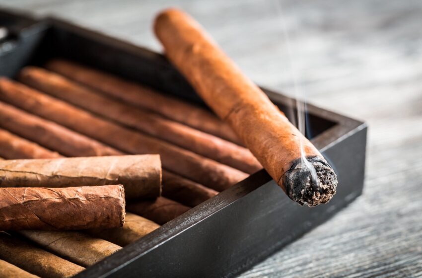  L’impact de la consommation de tabac sur l’environnement en Haïti