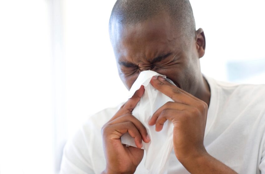  Grippe : comprendre, prévenir et traiter cette Infection Virale courante