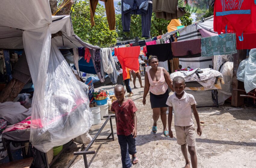  La violence des gangs en Haïti : 245 000 déplacements forcés en 2023
