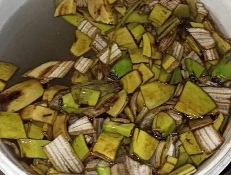  Boostez la croissance de vos plantes avec de l’engrais maison à base d’épluchures de banane