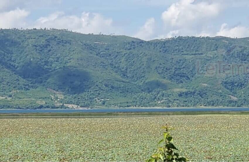  Miragoâne : Le Lac de la Renaissance