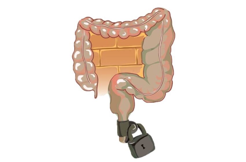  La constipation : comprendre et traiter ce problème commun