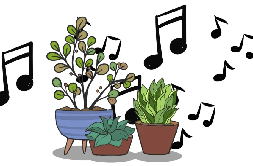  Saviez-vous que les plantes peuvent entendre de la musique ?