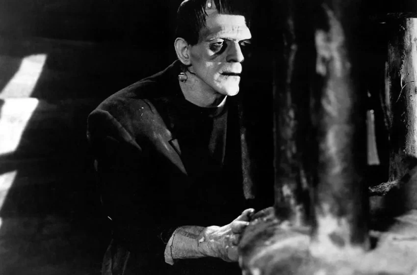  Savais-tu que l’œuvre de Mary Shelley, «Frankenstein» est né d’un défi littéraire et qu’elle avait que 18 ans ?