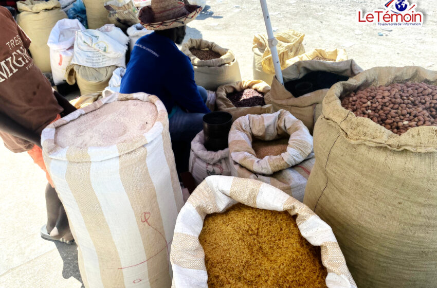 L’Agriculture haïtienne: la richesse des champs locaux pour une alimentation saine et durable