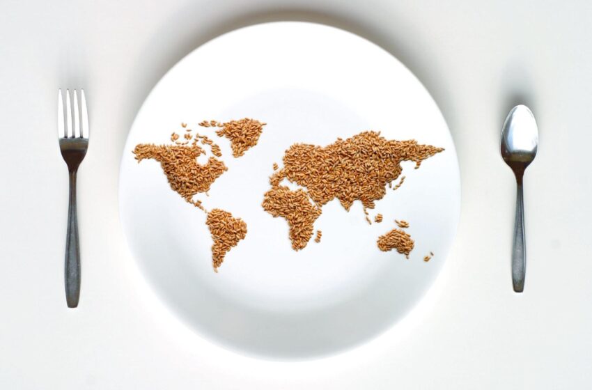  Saviez-vous que chaque jour, 25 000 personnes meurent de faim dans le monde ?