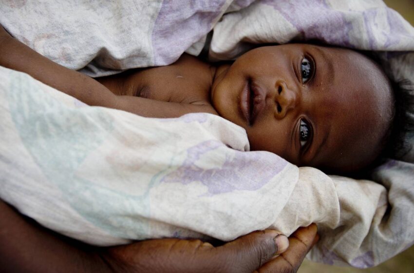  La santé fragile d’un bébé de moins de neuf mois : conseils et précautions