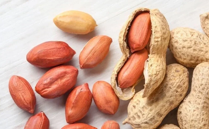 Saviez-vous que les cacahuètes sont considérées comme des fruits secs ?
