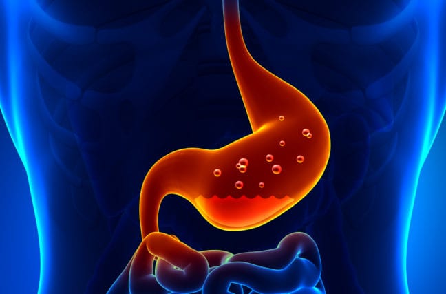  Saviez-vous que l’acide gastrique peut faire fondre le métal ?