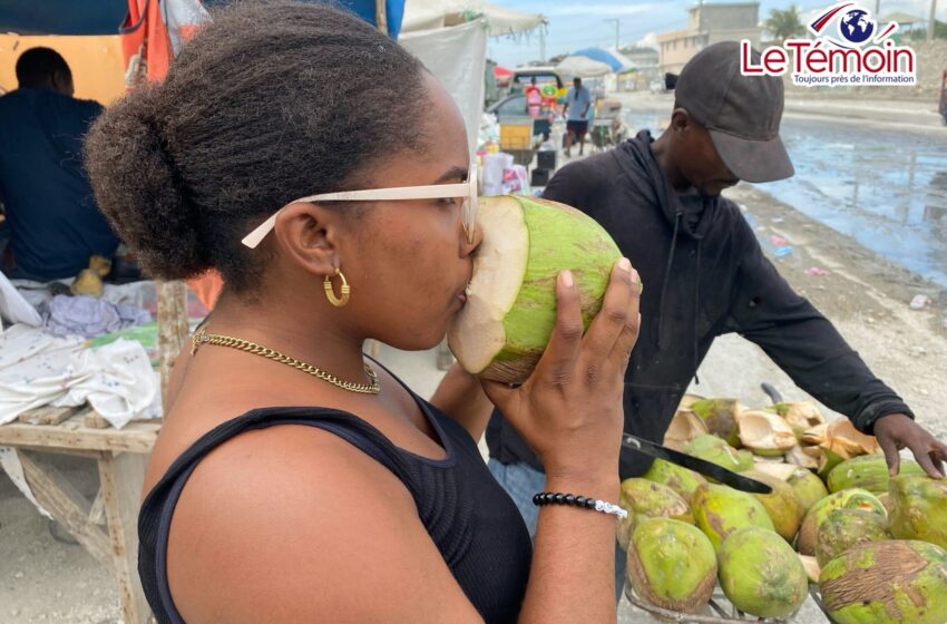  Le business des Noix de Coco en Haïti : une activité économique porteuse de sens