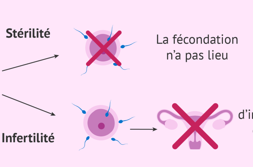  Comprendre l’infécondité : une réalité complexe