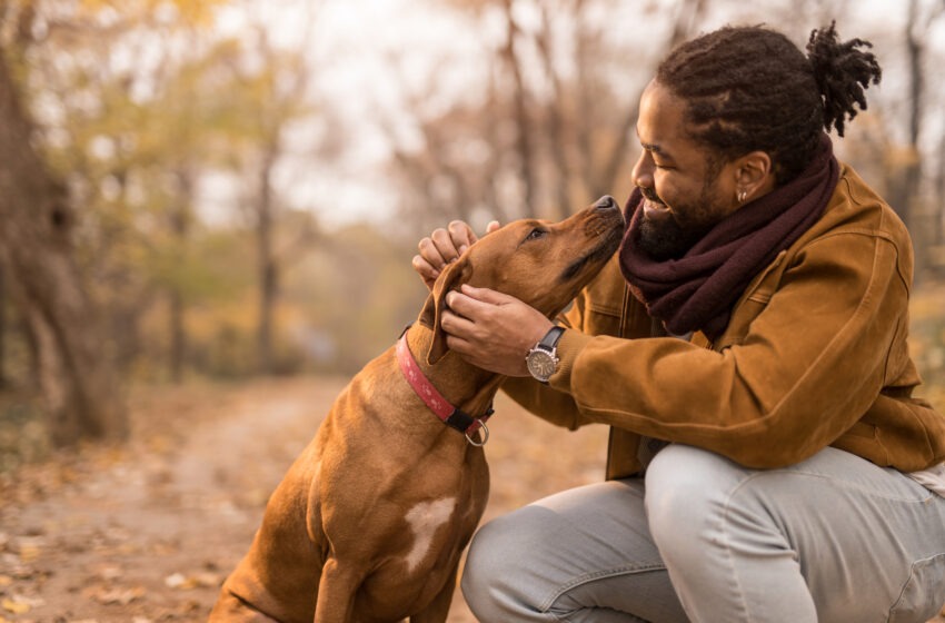  Saviez-vous que les chiens peuvent percevoir nos émotions ?