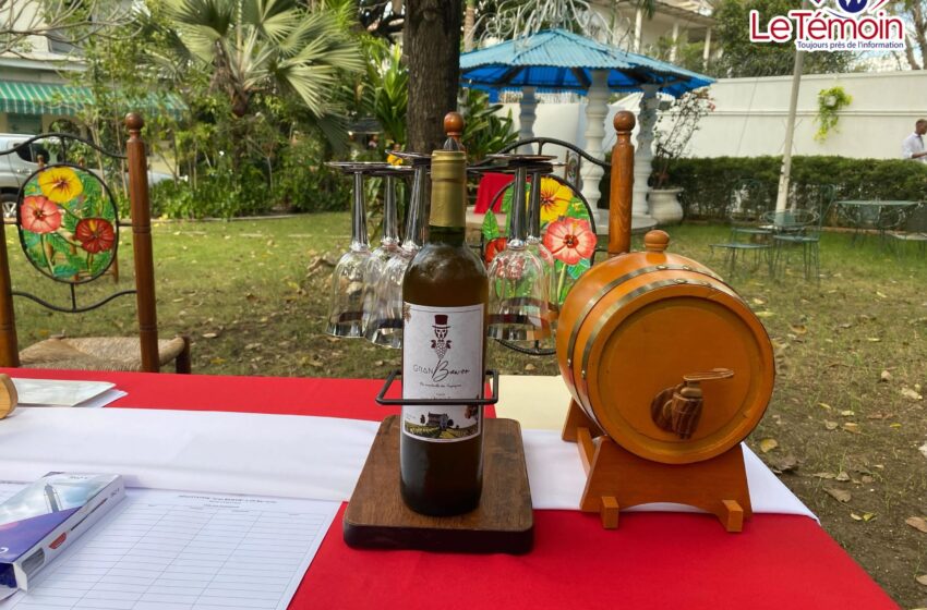  Gran Bawon : le pari audacieux d’un jeune Haïtien qui veut marquer l’histoire du vin