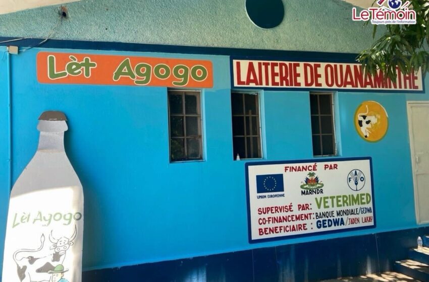  La laiterie de Ouanaminthe : un havre communautaire entre éducation, nature et développement rural
