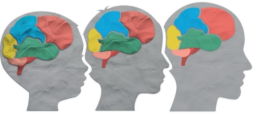  Saviez-vous que le cerveau d’un enfant consomme deux fois plus d’énergie que celui d’un adulte ?