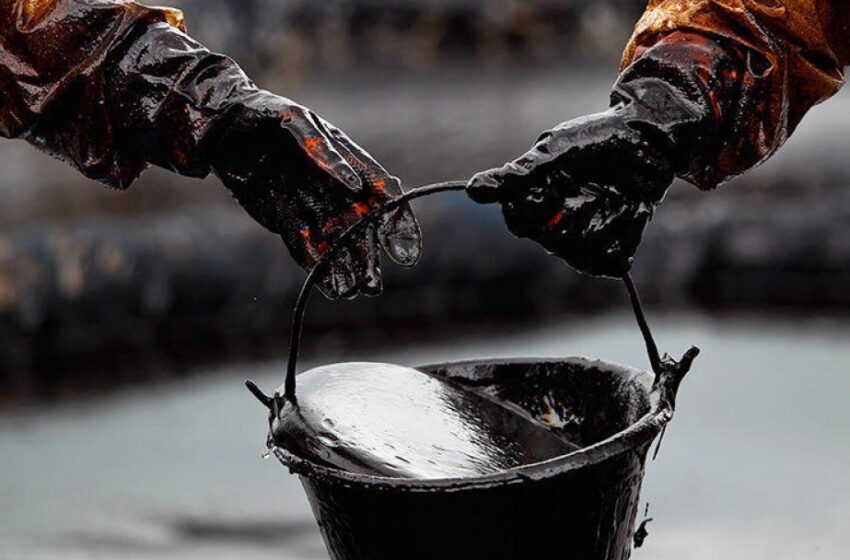  Pétrole : richesse noire ou bombe écologique ?