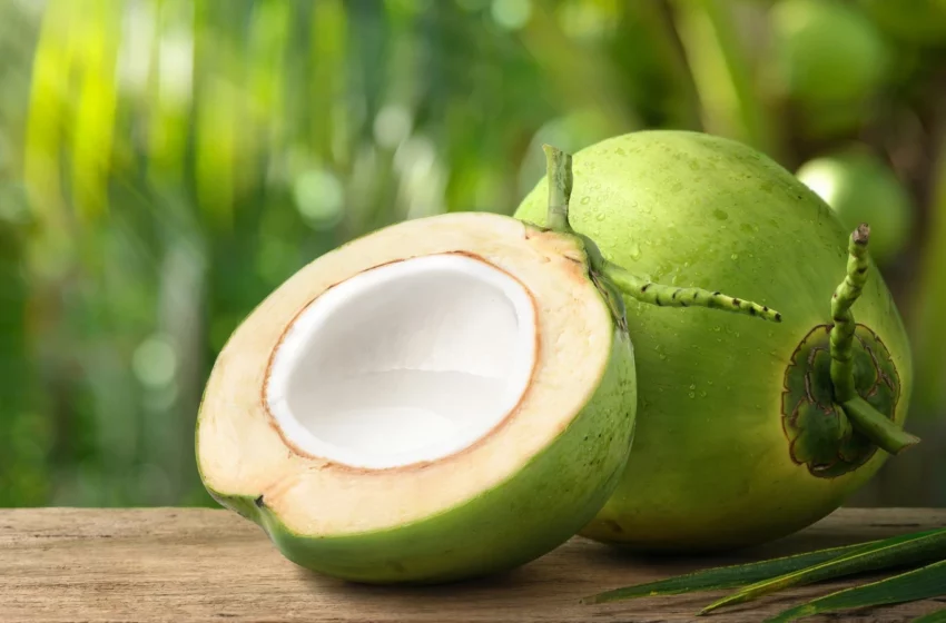  La  noix de coco en Haïti : trésor tropical au cœur de l’économie et de la cuisine