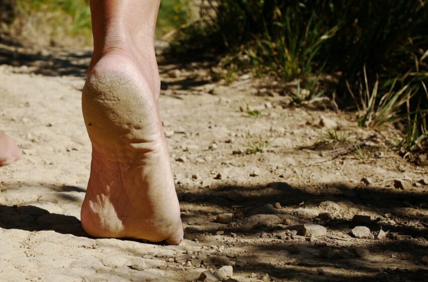  Marcher pieds nus : le secret méconnu d’un profond bien-être