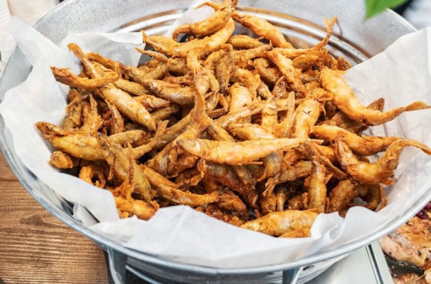  Le mystère des « piskèts », petits trésors des côtes