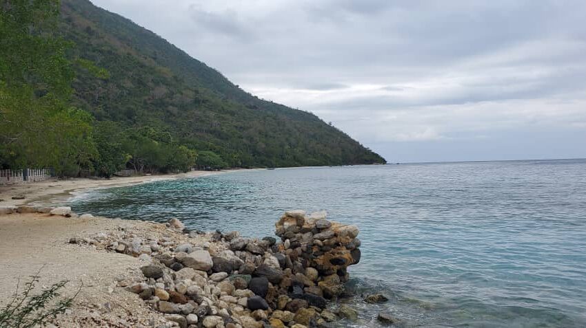  Thozin, perle cachée d’Haïti : entre hospitalité,plages dorées et sagesse locale à deux pas de Grand-Goâve