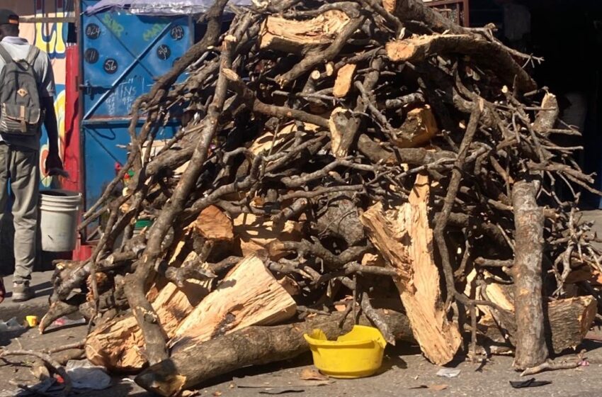  Le secteur du pressing en Haïti tue lentement le milieu écologique.