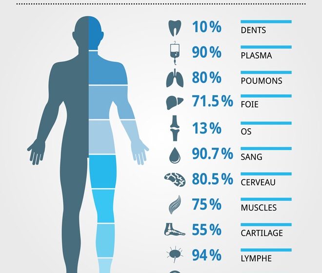  Saviez-vous que 75 % du corps humain et 80 % du cerveau sont composés d’eau ?