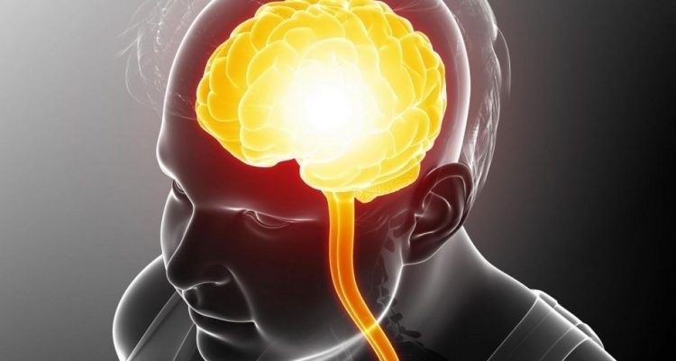  Saviez-vous que le cerveau est principalement composé de graisse?