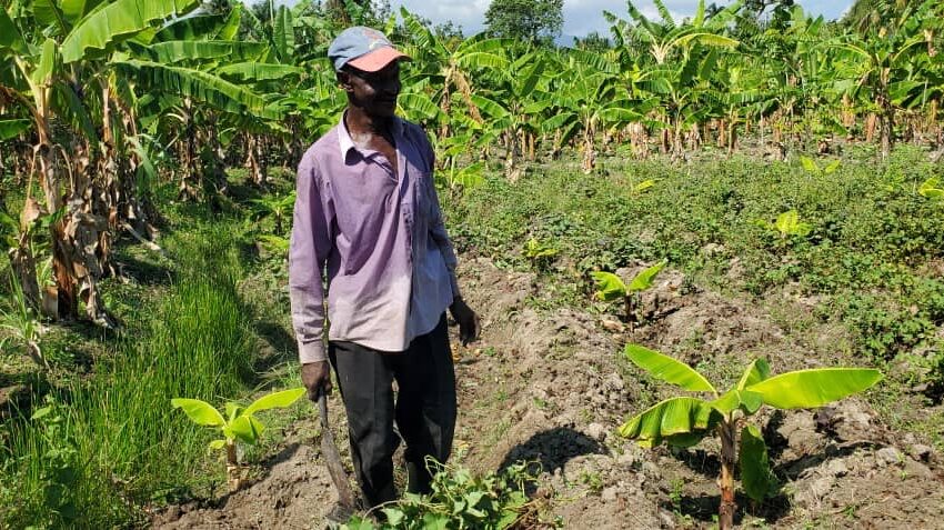 Nan kè devlopman Ayiti se pwodiksyon nasyonal la.
