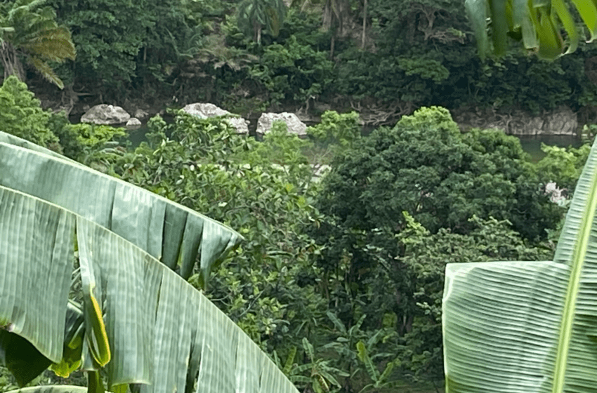  Èske w pa konn tande moun kap joure kap di mwen avew ap tounen de (2) gwo roch ?
