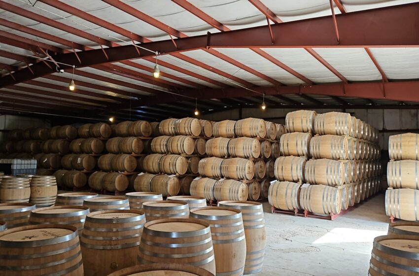  Rhum Barbancourt : le trésor haïtien qui défie le temps et les épreuves