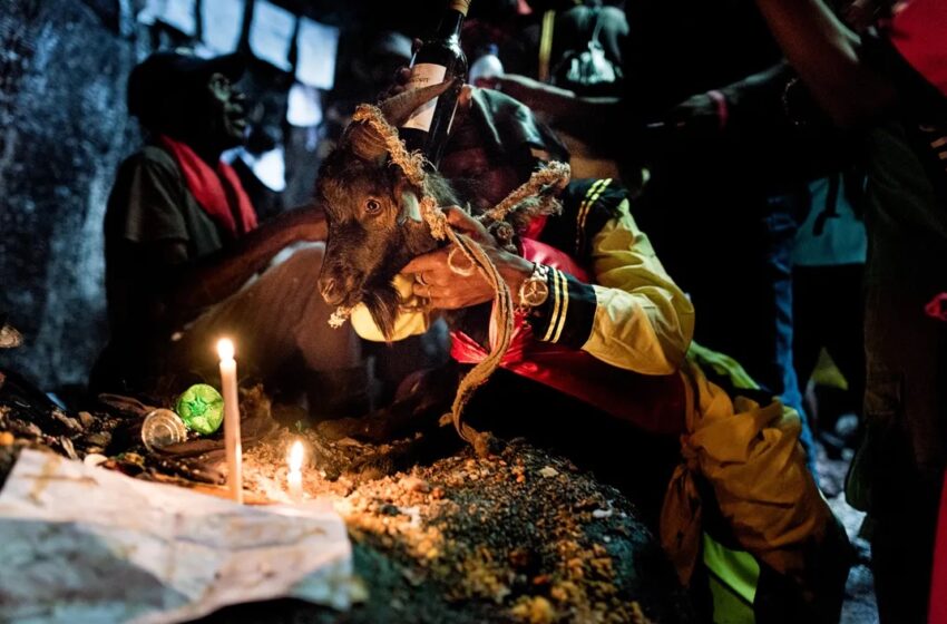  Les rites et offrandes aux loas