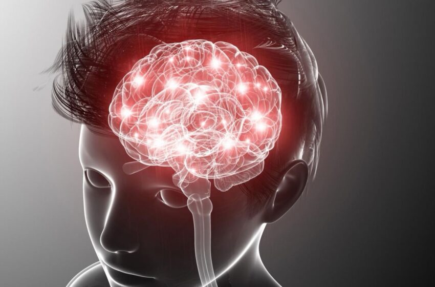  Comprendre et gérer l’épilepsie : un guide complet