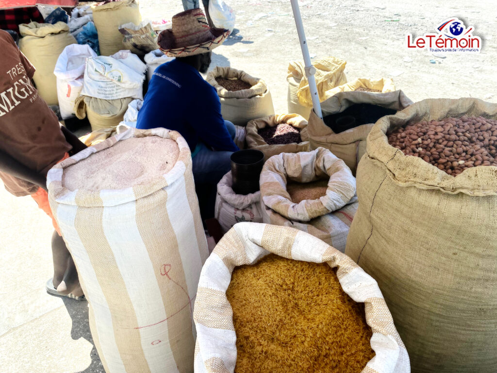 L’Agriculture haïtienne: la richesse des champs locaux pour une alimentation saine et durable