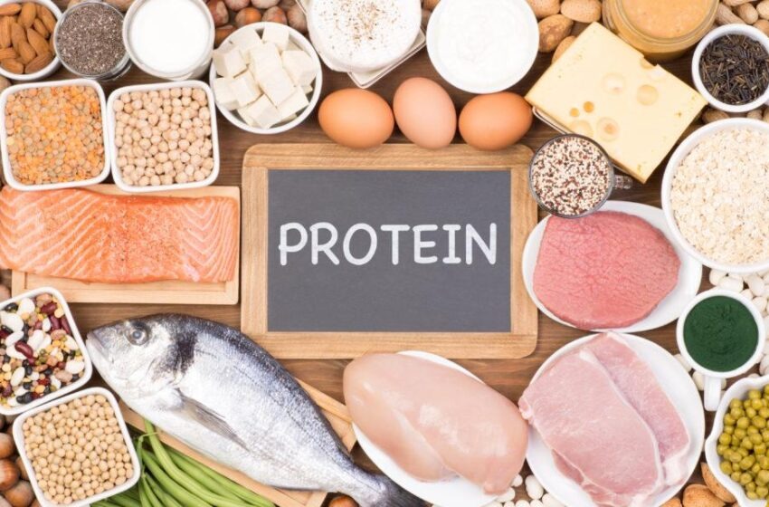  Nos besoins quotidiens en protéines : pourquoi sont-elles essentielles à notre santé ?