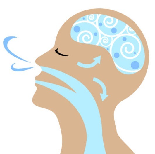  Saviez-vous que la plupart des gens respirent environ 20 000 fois par jour ?