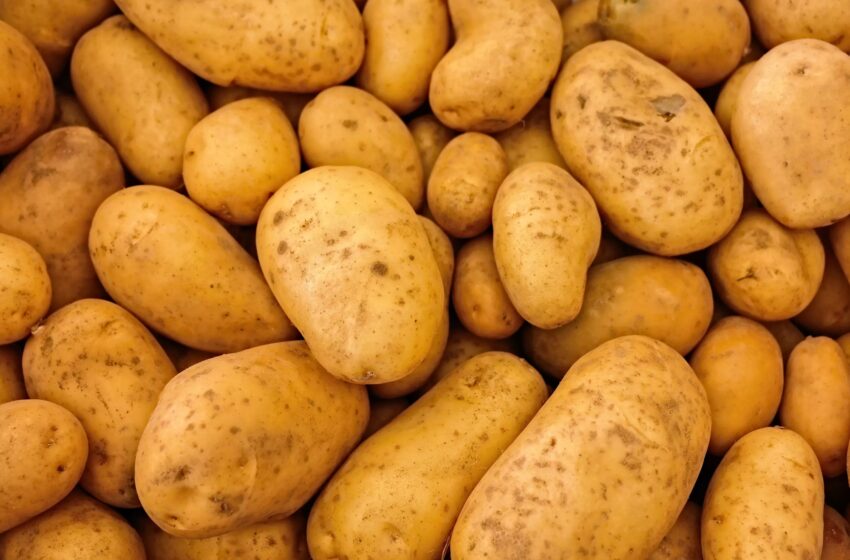  Les bienfaits de la pomme de terre : un aliment essentiel pour la santé