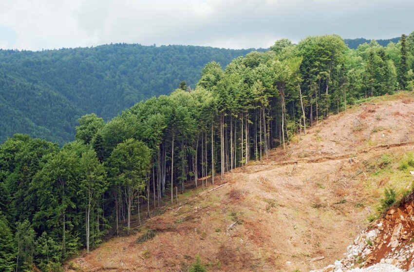  Nous, les écocitoyens de demain !