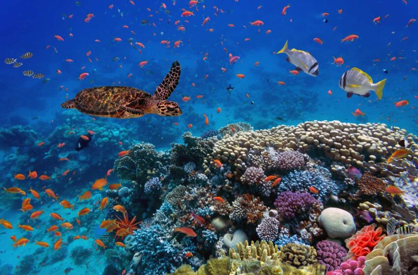  Faisons le point sur la biodiversité