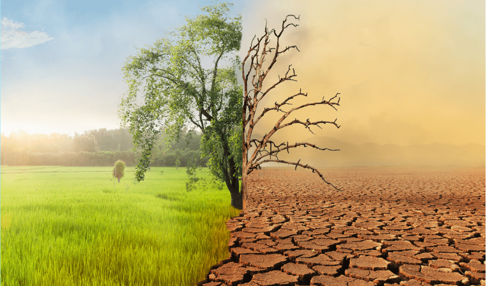 Quid changement climatique en Haïti ?