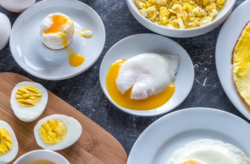  L’œuf, ce trésor oublié dans nos assiettes