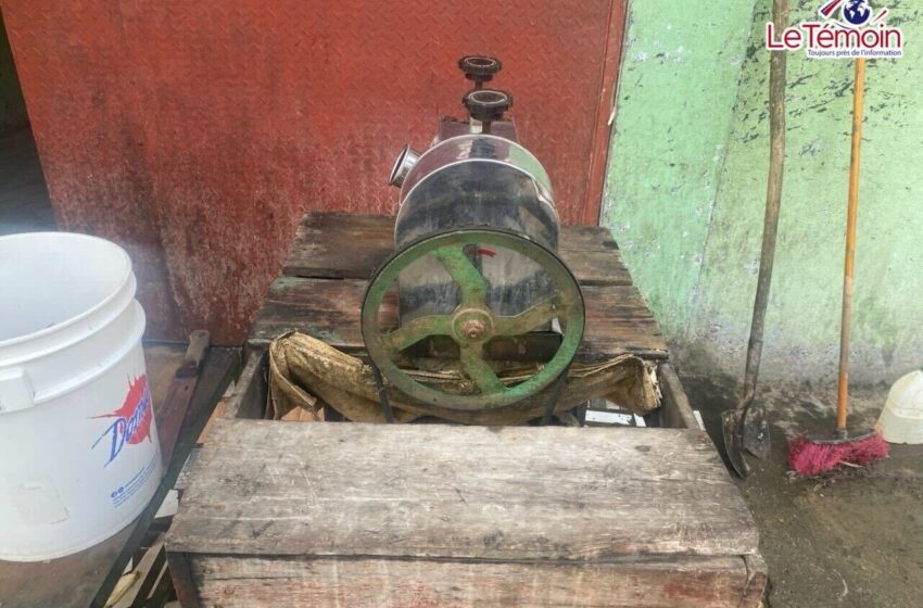  « Dlo kann », le jus qui redonne vie à la canne à sucre à Ouanaminthe