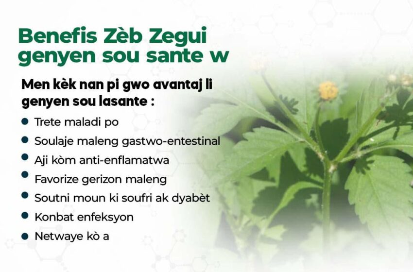  Benefis Zèb Zegui genyen sou sante w