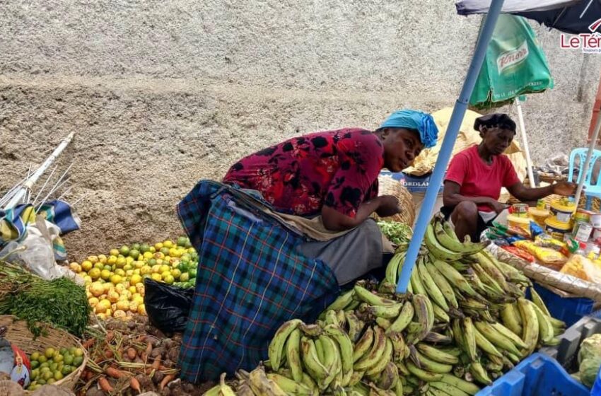  Sous le soleil de Delmas 65, un marché et des rêves tenaces